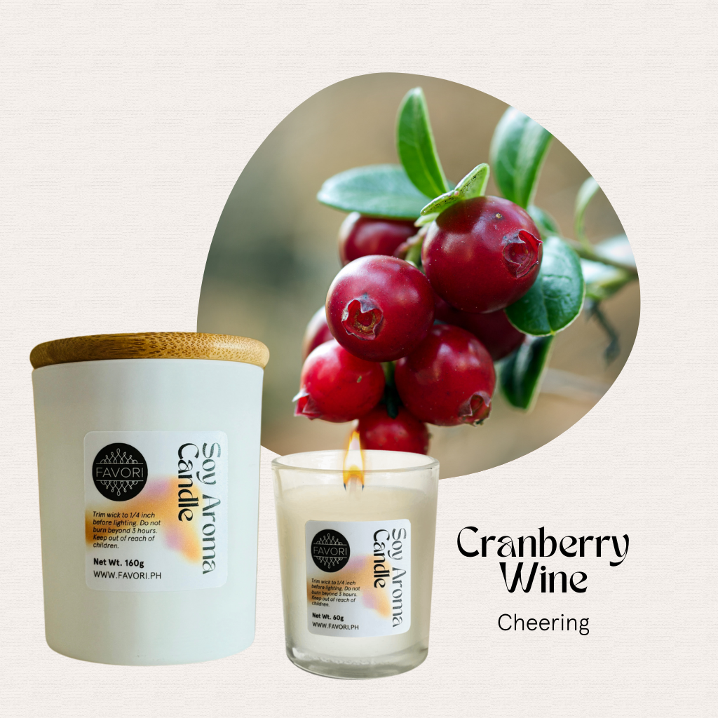 Close-up of cranberries with two FAVORI Scents All Occasion soy candles on a light background.