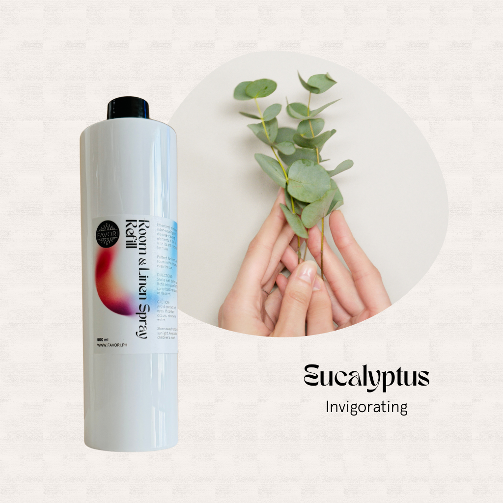 A hand with eucalyptus holds a white FAVORI Scents Room & Linen Air Spray 500ml, Eucalyptus Invigorating.