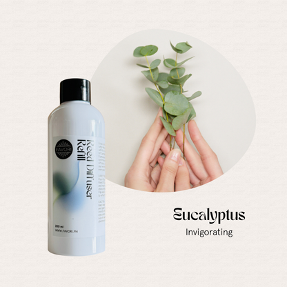 FAVORI Scents Eucalyptus Reed Diffuser Refill (RDR) beside hands with leaves, text: Eucalyptus Invigorating.