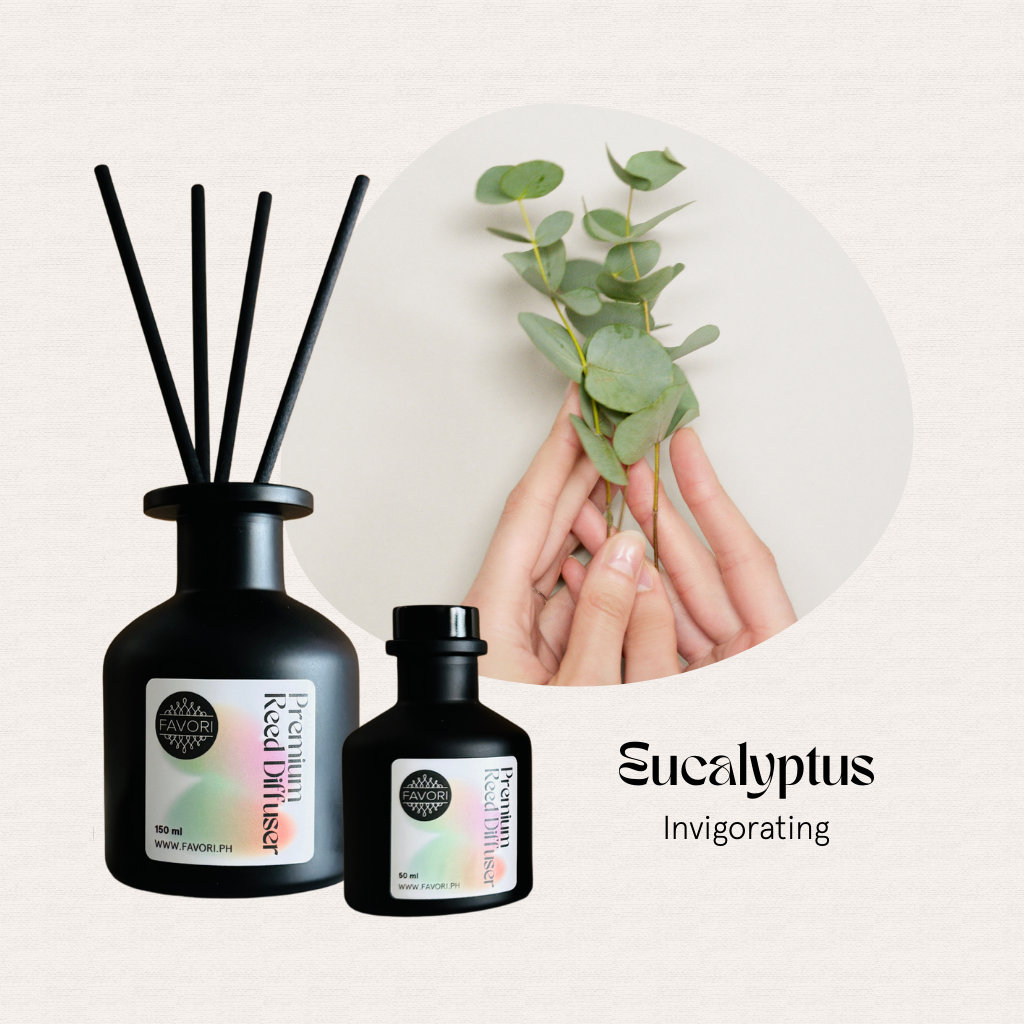 FAVORI Scents Eucalyptus Premium Reed Diffuser held by hands—invigorating congestion relief.