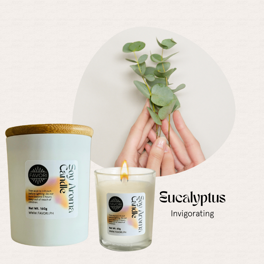 FAVORI Scents All Occasion white soy candle with wooden lid, lit, held with eucalyptus leaves.