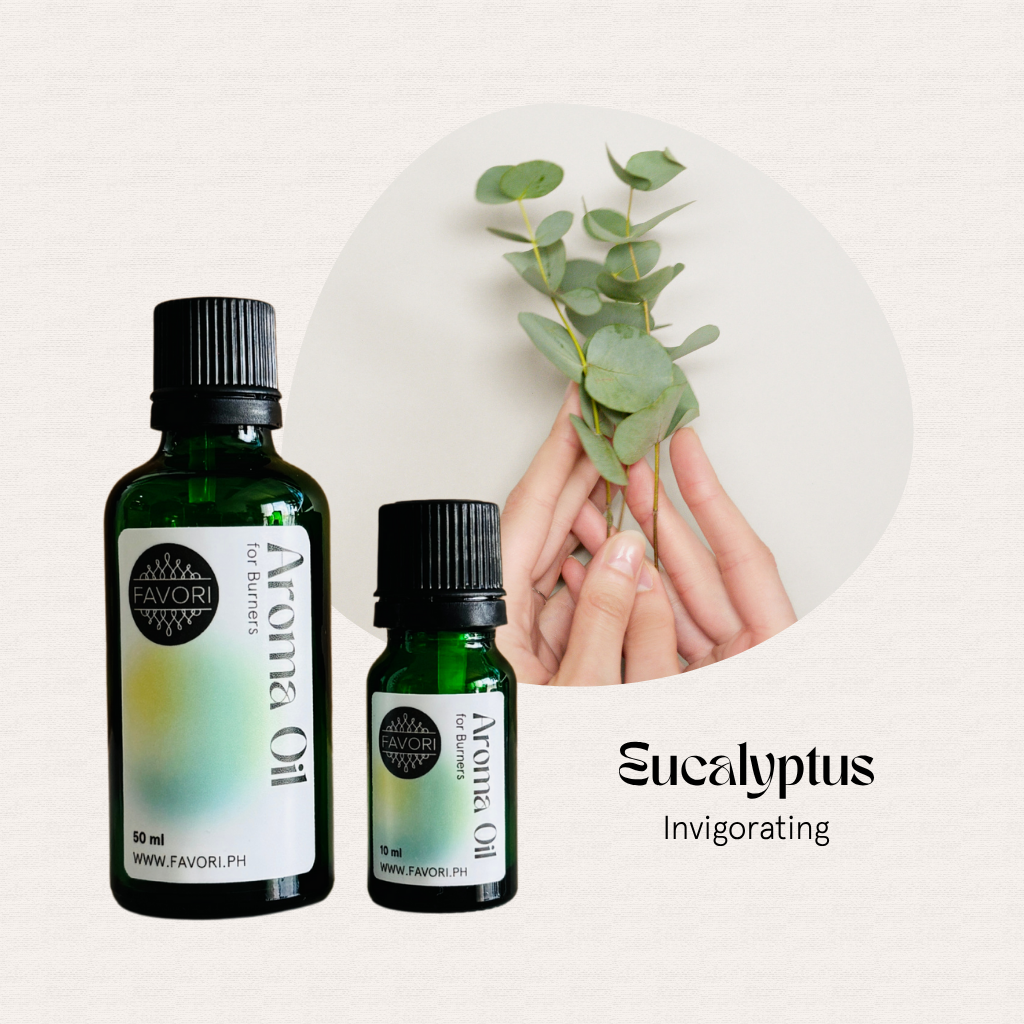 Two bottles of FAVORI Scents Burner (BR) Aroma Oils beside hands holding fresh eucalyptus leaves.