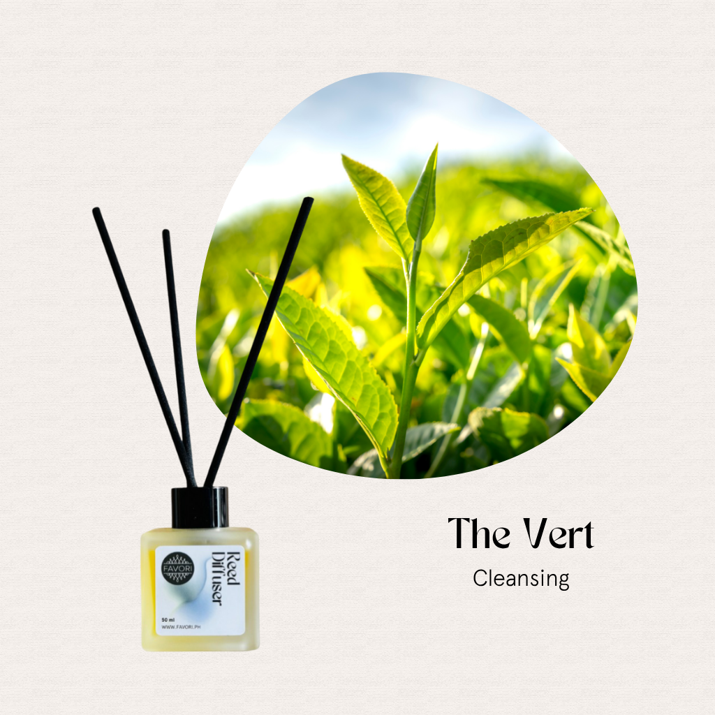 FAVORI Scents The Vert Regular Reed Diffuser (RRD) offers long-lasting green tea fragrance with black reeds.