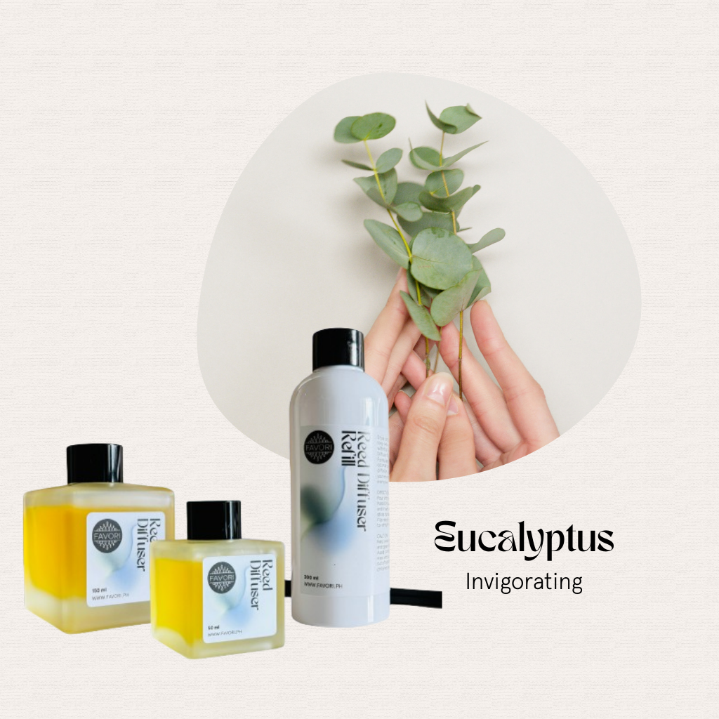 Two hands hold eucalyptus stems above FAVORI Scents Eucalyptus Trio Reed Diffuser with a lasting aroma.
