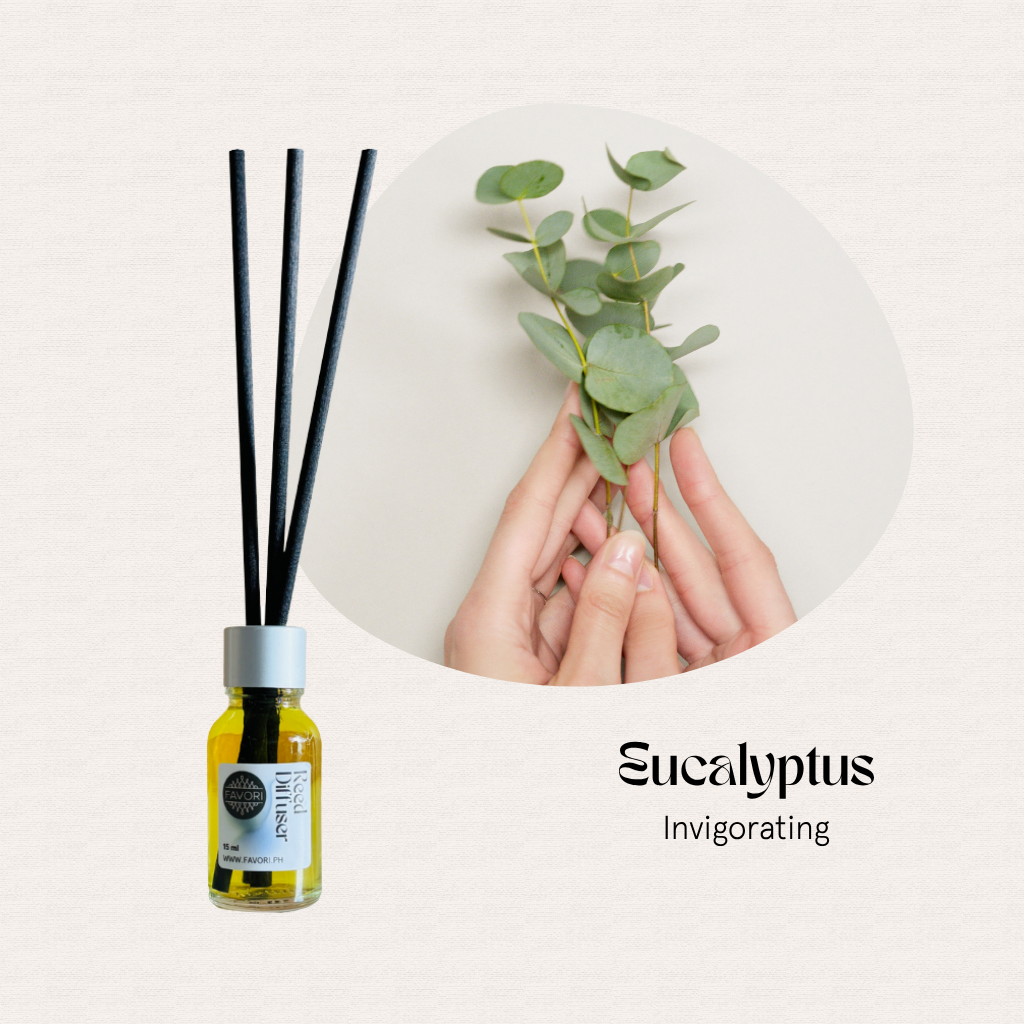 A hand holds eucalyptus leaves beside a FAVORI Scents Mini Reed Diffuser labeled Eucalyptus Invigorating.