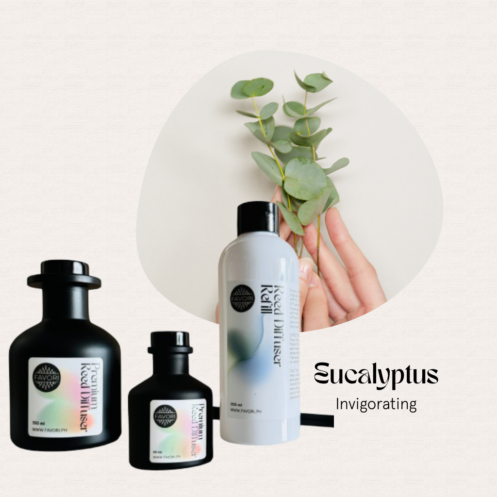 Three bottles of FAVORI Scents Eucalyptus Trio Premium Reed Diffuser—invigorating, long-lasting aroma.