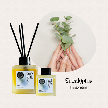 Hands hold eucalyptus leaves above a FAVORI Scents Eucalyptus Regular Reed Diffuser (RRD) for congestion relief.