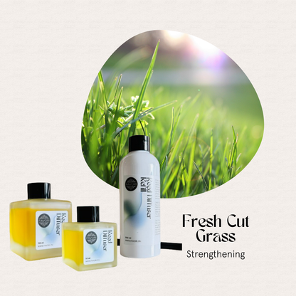 Three Fresh Cut Grass Trio Reed Diffusers by FAVORI Scents, with an herbaceous aroma, beside sunlit green grass.