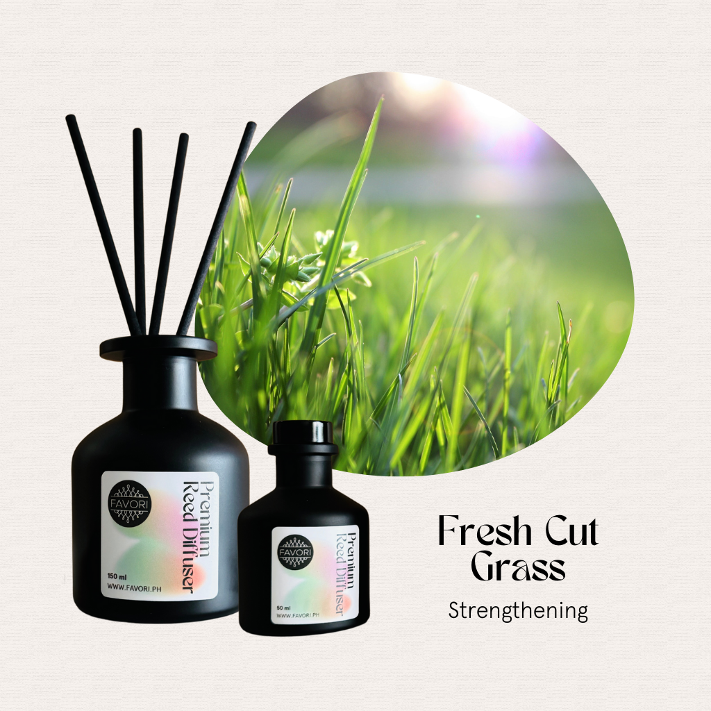 Two FAVORI Scents Fresh Cut Grass reed diffusers evoke the scent of green grass by sunlit blades.