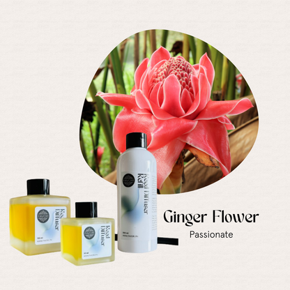 A vibrant pink ginger flower with FAVORI Scents Ginger Flower Trio Reed Diffuser for lasting fragrance.