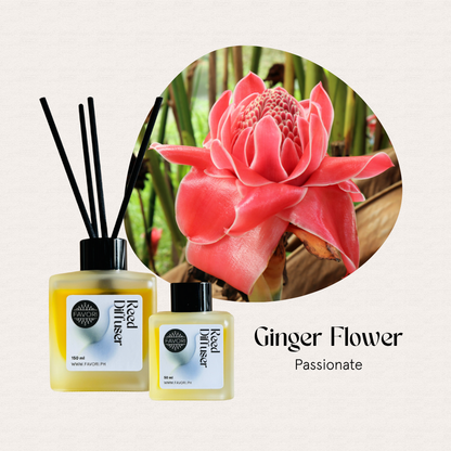 A pink ginger flower behind two FAVORI Scents Ginger Flower RRDs with black reeds on a light background.