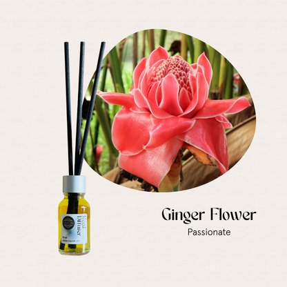 A FAVORI Scents Mini Reed Diffuser in Ginger Flower Passionate with fiber sticks on beige background.