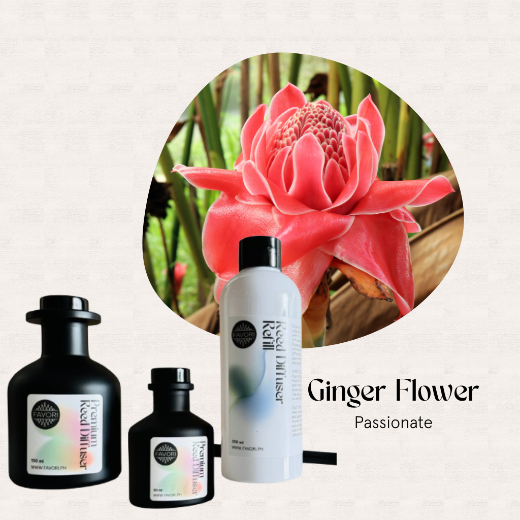 FAVORI Scents Ginger Flower Trio Premium Reed Diffuser offers a fresh, long-lasting floral aroma.