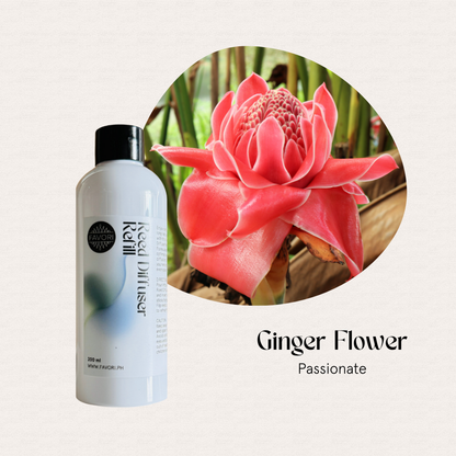 The FAVORI Scents Ginger Flower Reed Diffuser Refill (RDR) offers a long-lasting, vibrant pink ginger flower aroma.