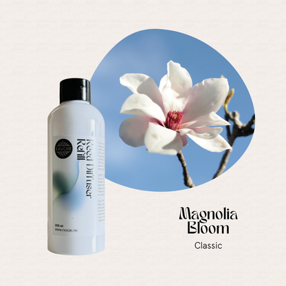 A white FAVORI Scents Magnolia Bloom Reed Diffuser Refill (RDR) promises long-lasting fragrance.