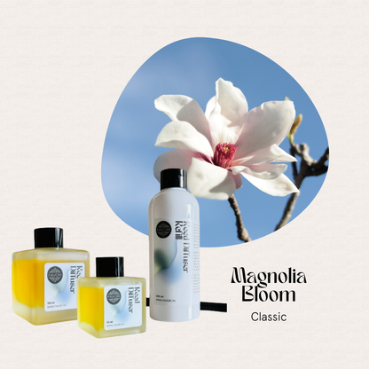 Three FAVORI Scents Magnolia Bloom Trio Reed Diffusers are displayed before a blooming magnolia under blue sky.