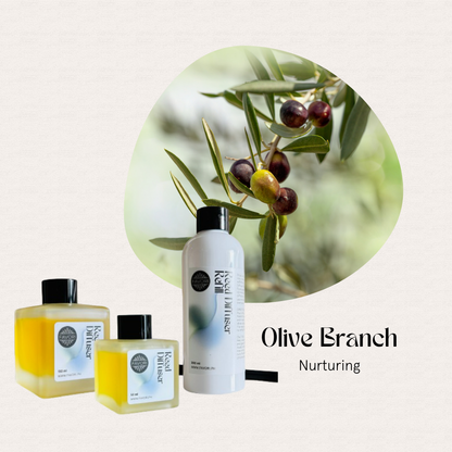 Photo of olive branch with olives and FAVORI Scents Olive Branch Trio Reed Diffuser (TRD) in Olive Branch fragrance.