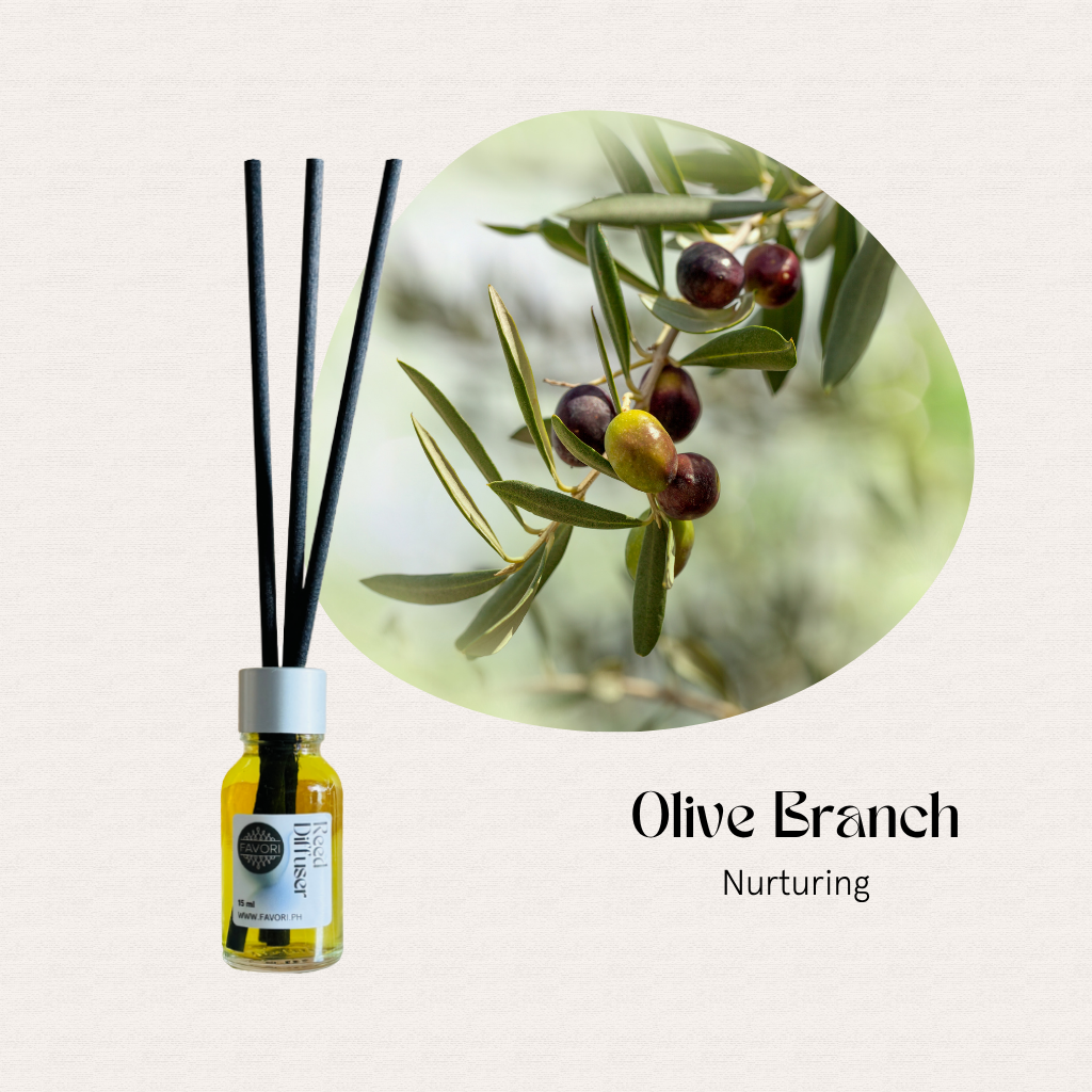 FAVORI Scents Mini Reed Diffusers with fiber sticks; Olive Branch Nurturing scent and olive photo shown.