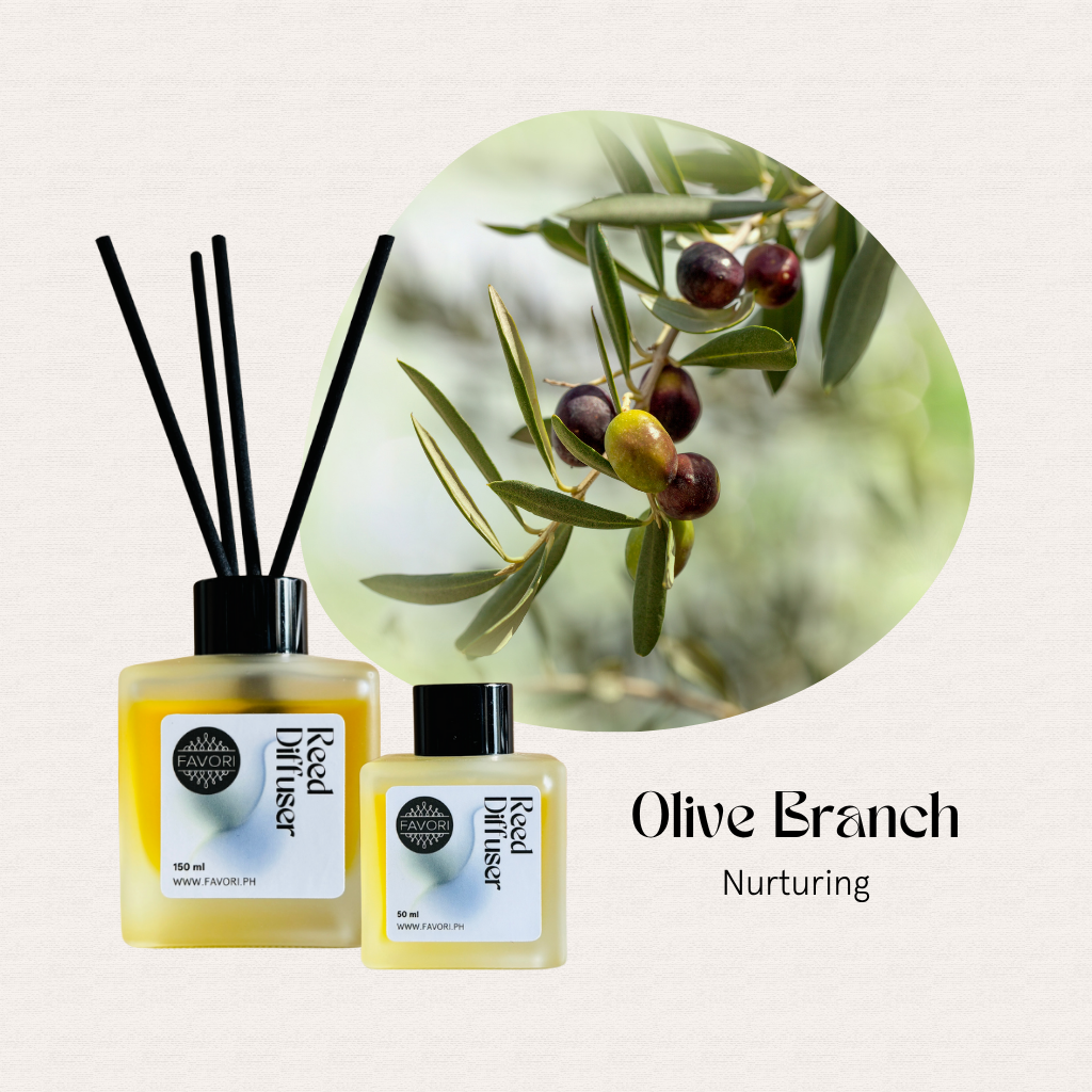 Two FAVORI Scents Olive Branch RRD diffusers bring a nurturing aroma and olives to a light-toned space.