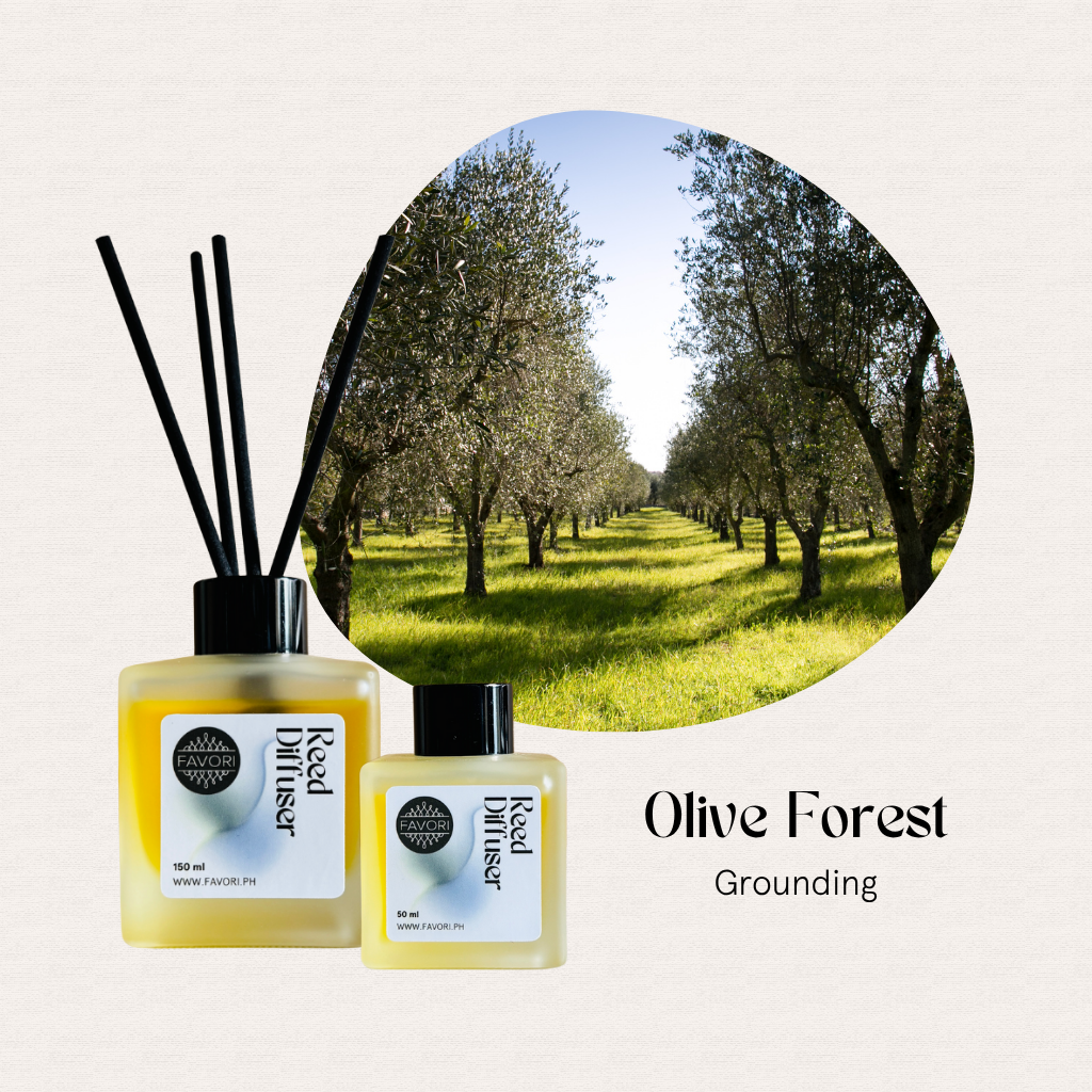 Two FAVORI Scents Olive Forest RRD diffusers placed before a sunlit olive tree grove.