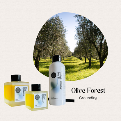 Three Olive Forest Trio Reed Diffusers by FAVORI Scents evoke a long-lasting aroma in a sunlit olive grove.