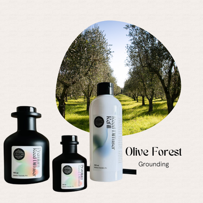 Three FAVORI Scents Olive Forest Trio Premium Reed Diffusers in front of a sunlit olive tree grove.