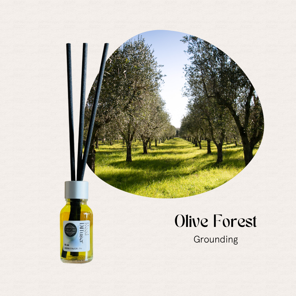 A FAVORI Scents Mini Reed Diffuser (MRD) with fiber sticks, beside an olive grove under sunlight.