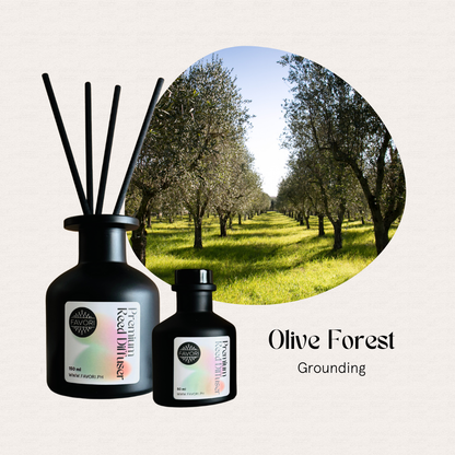 Two FAVORI Scents Olive Forest Premium Reed Diffusers with fiber reeds, labeled Olive Forest Grounding.
