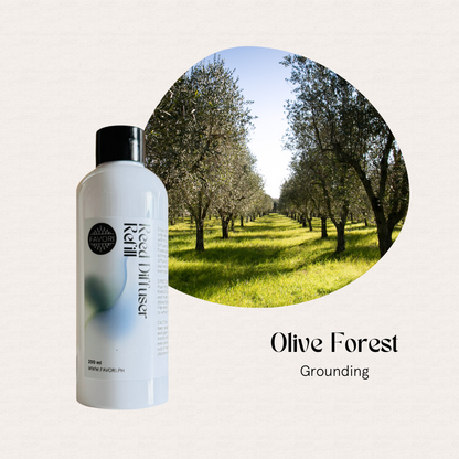 FAVORI Scents Olive Forest Reed Diffuser Refill—Grounding, long-lasting aroma inspired by sunlit olive groves.