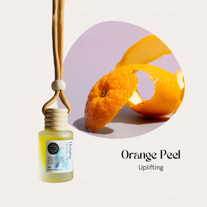 FAVORI Scents Hanging Aroma Diffuser in Orange Peel Uplifting is a small, orange-scented room fragrance.
