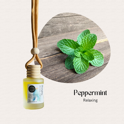 FAVORI Scents Hanging Aroma Diffuser: Peppermint oil & fresh mint on wood for a relaxing scent.