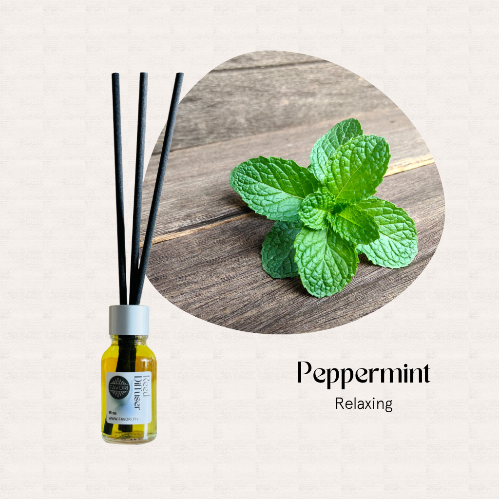 FAVORI Scents Mini Reed Diffusers (MRD): Peppermint Relaxing with fiber sticks and fresh mint leaves.