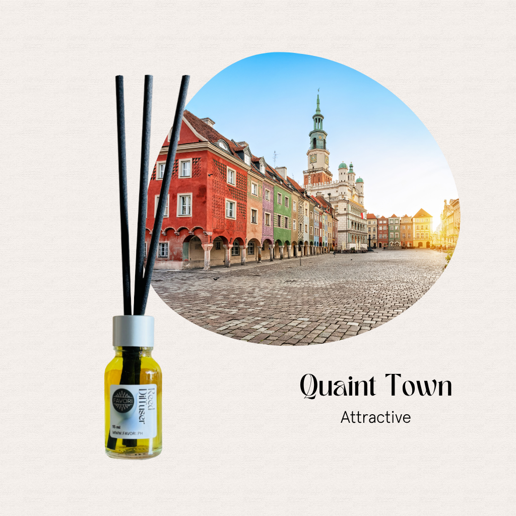 FAVORI Scents Mini Reed Diffusers (MRD) add charm like a colorful European square with historic buildings.