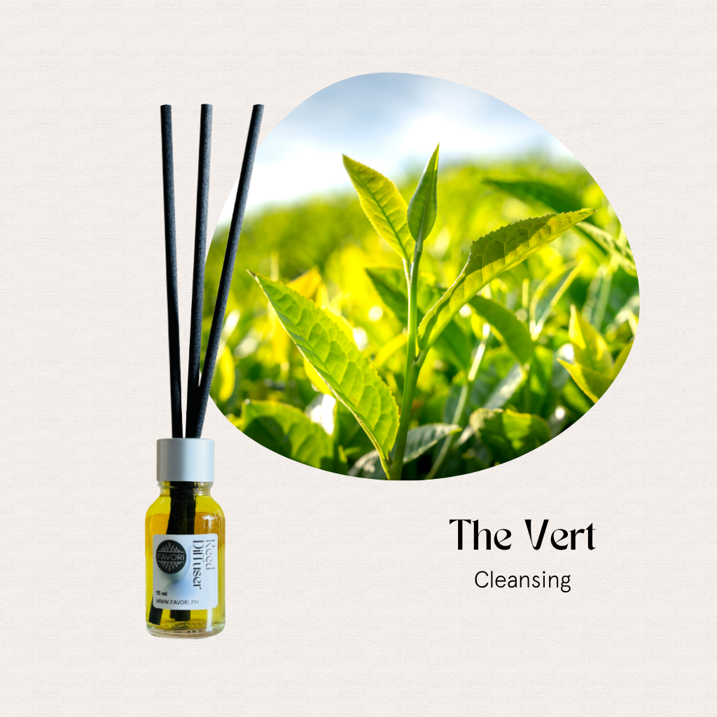 FAVORI Scents Mini Reed Diffusers (MRD) with fiber sticks beside fresh green tea leaves, The Vert Cleansing.