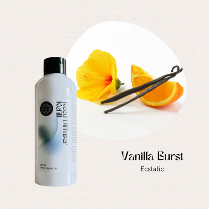 FAVORI Scents Vanilla Burst Reed Diffuser Refill (RDR) with fiber sticks, vanilla, hibiscus, and orange slice.