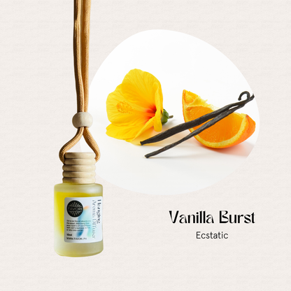 Small bottle with wood cap and cord; FAVORI Scents Hanging Aroma Diffusers in Vanilla Burst.