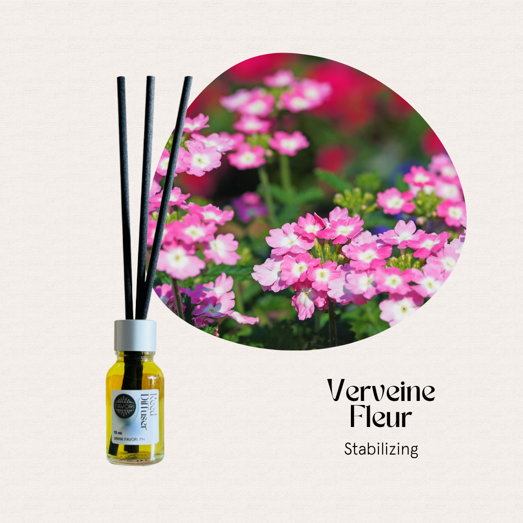 FAVORI Scents Mini Reed Diffusers (MRD) with fiber sticks beside pink verbena, Verveine Fleur Stabilizing.