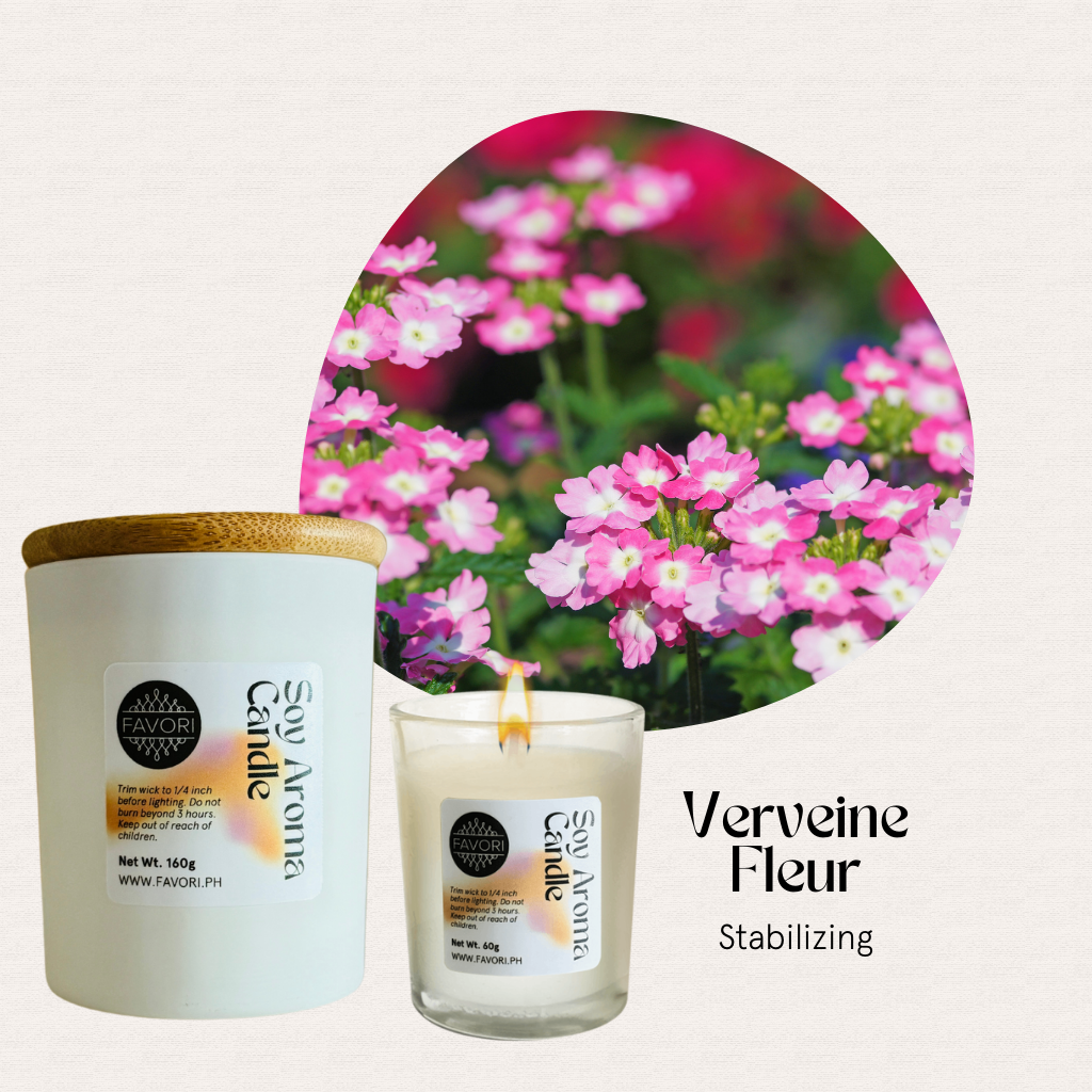 FAVORI Scents All Occasion candles with wooden lids add an elegant aroma to any space.