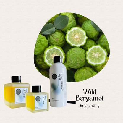 FAVORI Scents’ Wild Bergamot Trio Reed Diffuser (TRD) offers a long-lasting aroma beside fresh fruit.