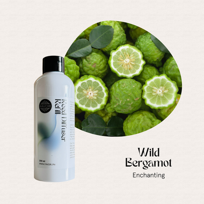 FAVORI Scents Wild Bergamot Reed Diffuser Refill (RDR); ideal with fiber sticks for a fresh, fruity scent.