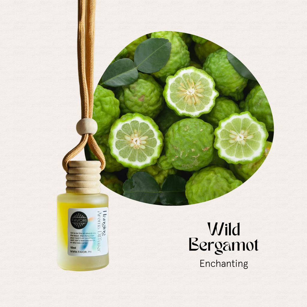 FAVORI Scents Hanging Aroma Diffuser in Wild Bergamot Enchanting, bergamot fragrance oil for your car.