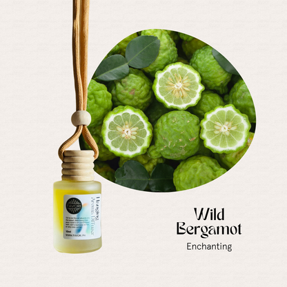 FAVORI Scents Hanging Aroma Diffuser in Wild Bergamot Enchanting, bergamot fragrance oil for your car.