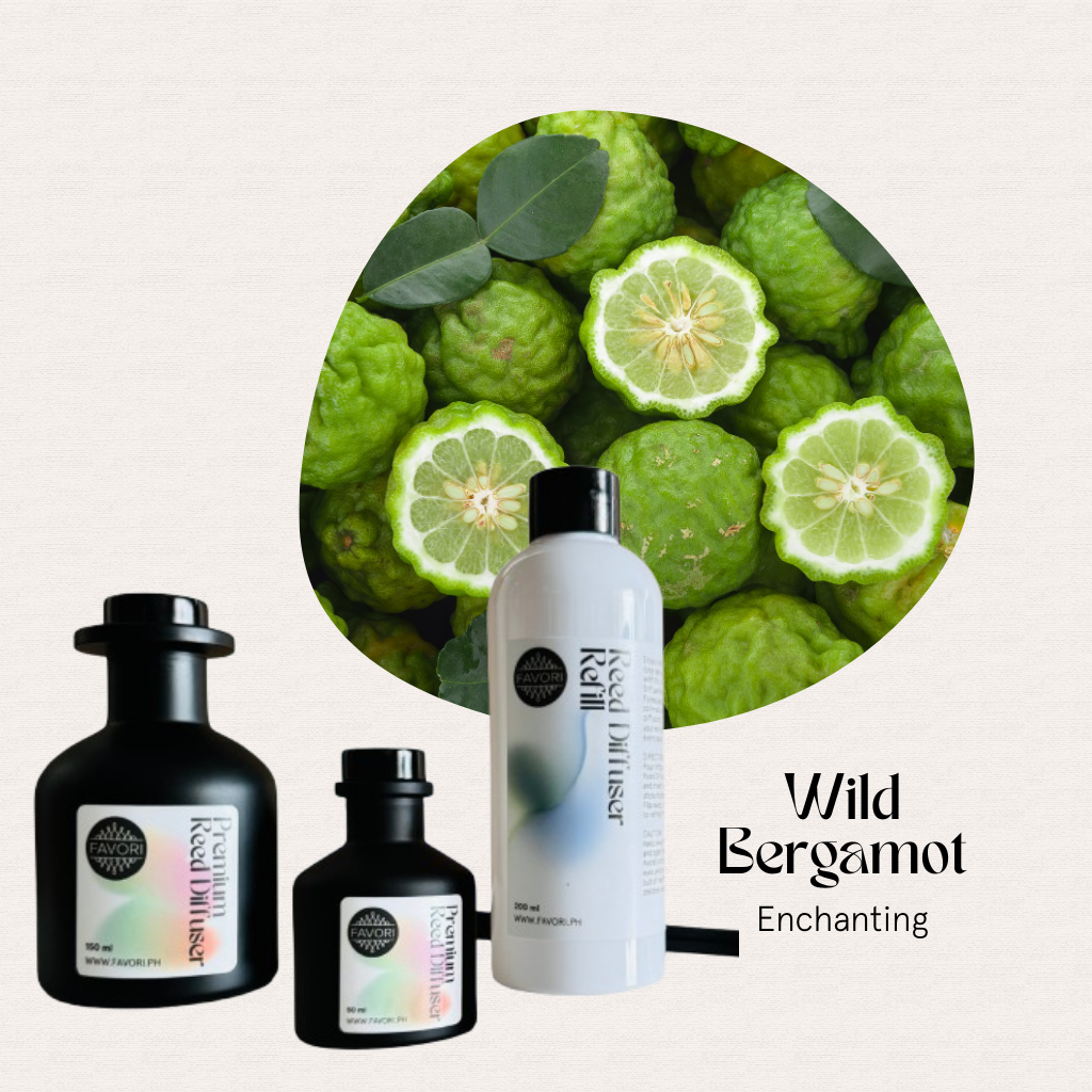 Three FAVORI Scents Wild Bergamot Trio Premium Reed Diffusers with fiber reeds for a long-lasting aroma.