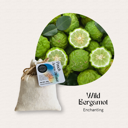 Top view of FAVORI Scents Pouch Aroma Diffusers (PAD)—a must-have for aroma diffuser oil enthusiasts.