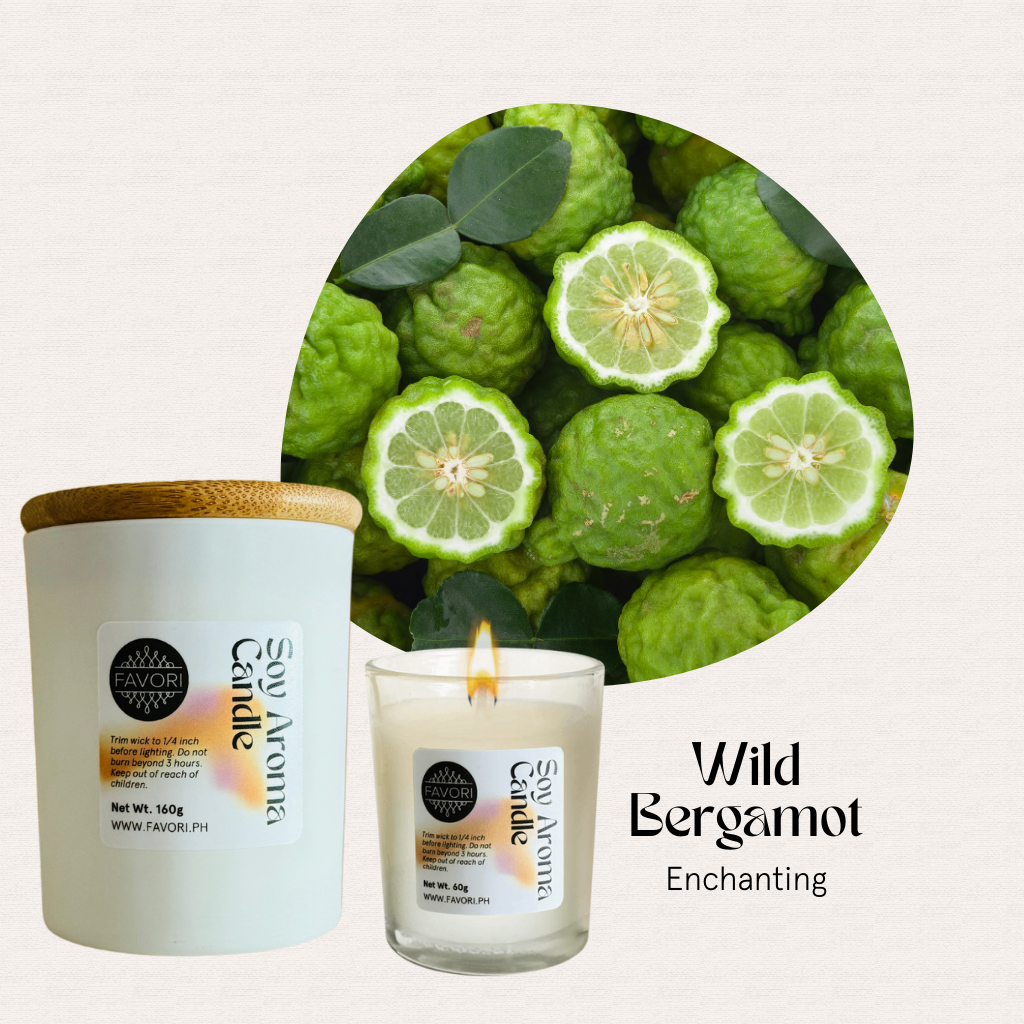 FAVORI Scents All Occasion soy candles with sliced and whole green bergamot, labeled Wild Bergamot Enchanting.