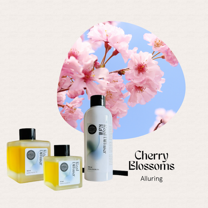 FAVORI Scents Cherry Blossoms Trio Reed Diffuser offers an alluring floral fragrance for your space.