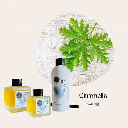 The Citronella Trio Reed Diffuser by FAVORI Scents is your go-to for a natural insect repellent routine.