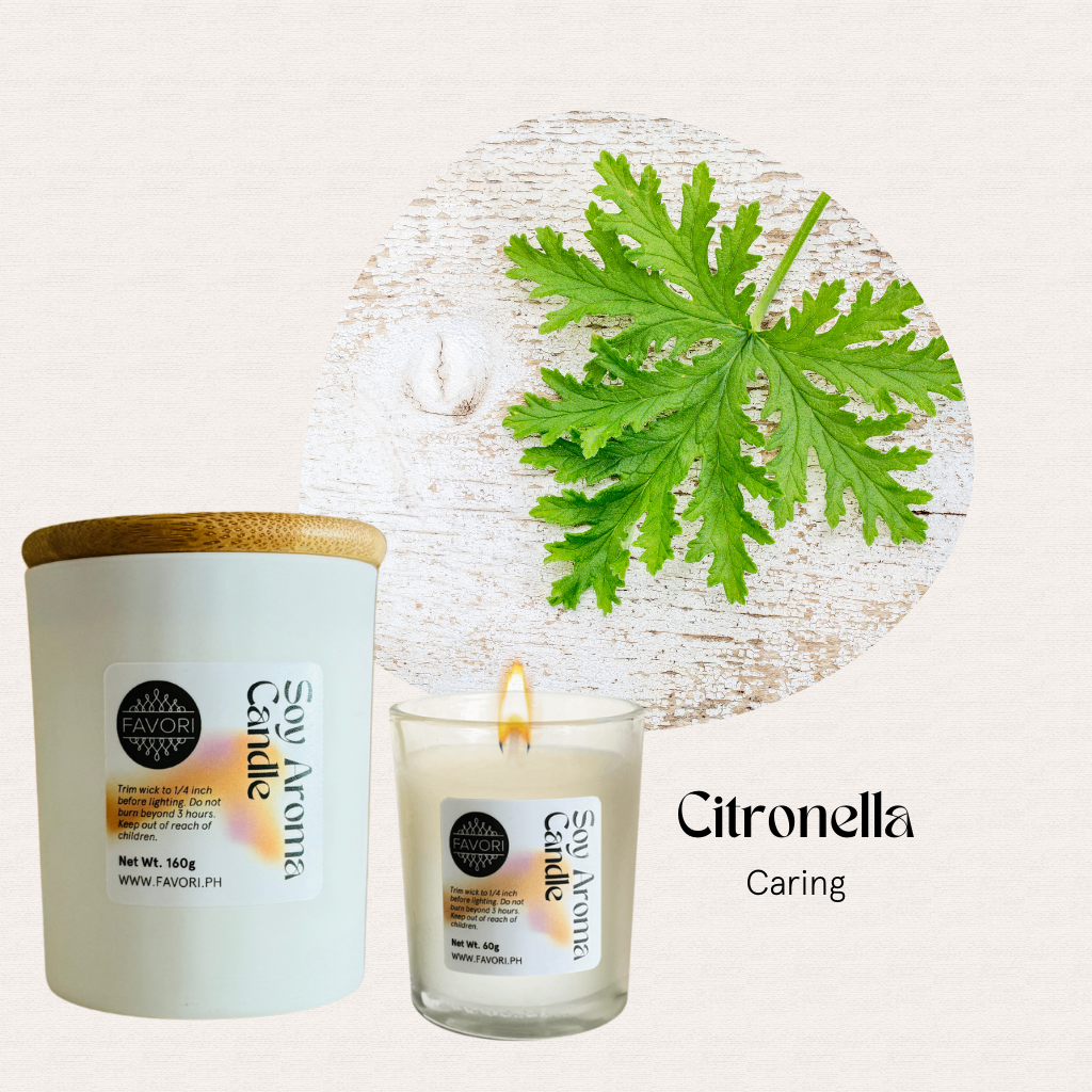 A citronella leaf and two FAVORI Scents All Occasion soy candles, one lit, labeled Soy Aroma Candle.