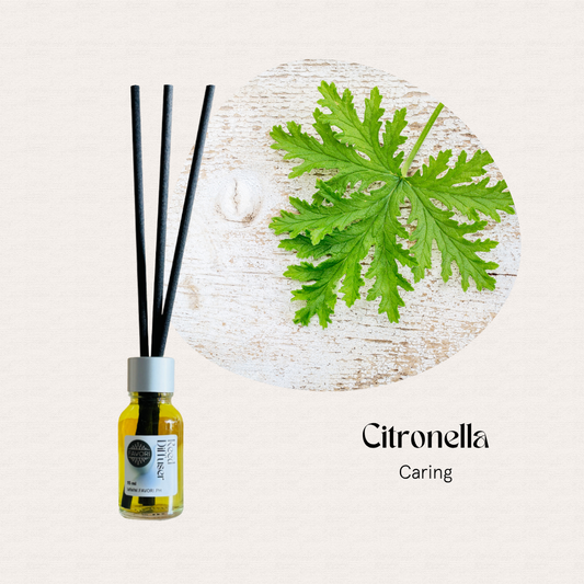 FAVORI Scents Citronella Mini Reed Diffuser (MRD) with anti-microbial properties on a light background.