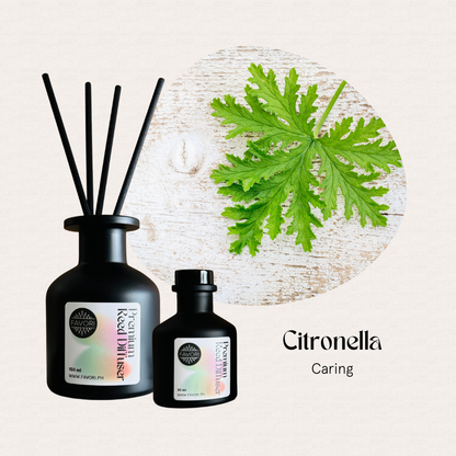 Two FAVORI Scents Citronella Premium Reed Diffusers with fiber reeds, a natural insect repellent.